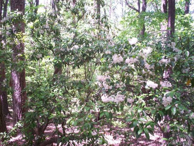 Rutherford College/Valdese - Residential