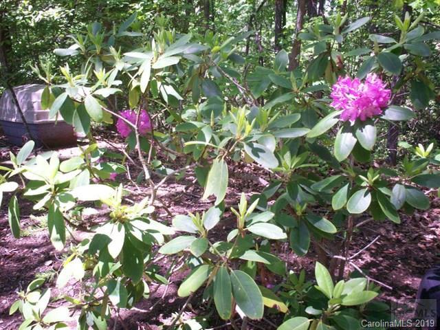 Rutherford College/Valdese - Residential