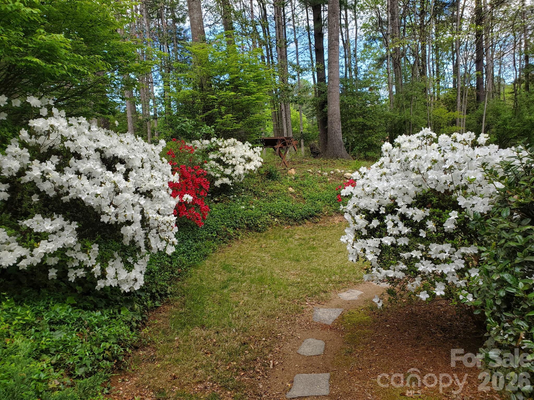 Southchase - Residential