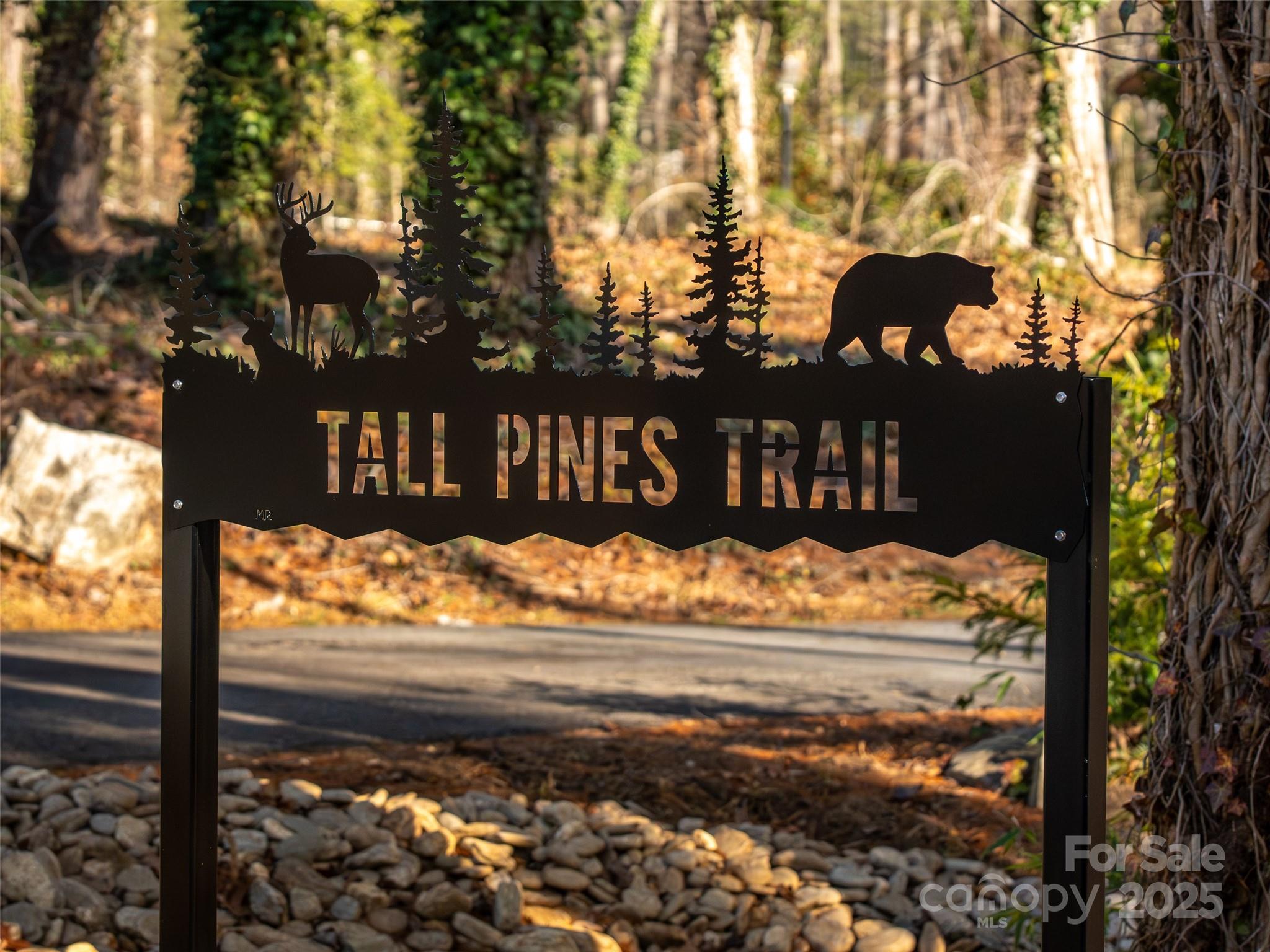 18 Tall Pines Trail