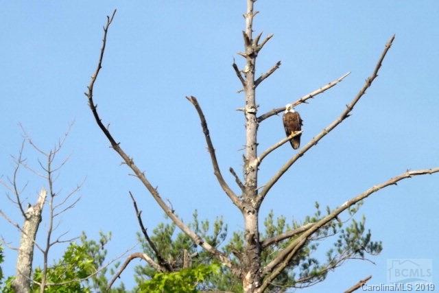 East Shores - Residential