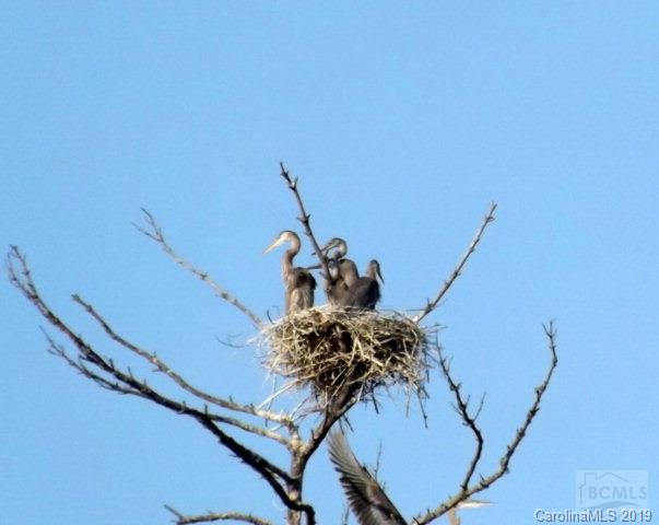 East Shores - Residential