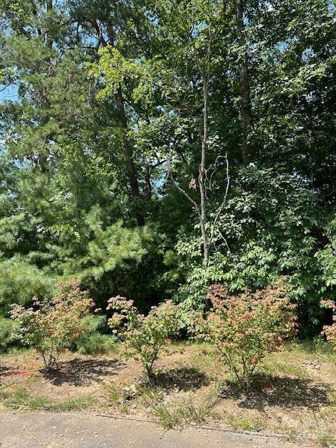 46 Elk Mountain Ridge