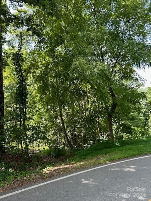 46 Elk Mountain Ridge Asheville NC 28804