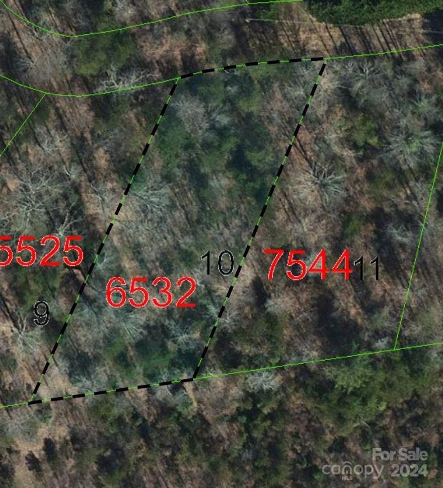 New listing  .49  off   a gravel road  a Level building lot  with mountain views. BELOW TAX VALUE   Will allow  SW and DW homes and modular and site built home also.  Need well and septic . (already  pre perked,  buyer will responsible  for final septic permit) in Dyersville NC 1 mile from new Dollar General located on Hwy  226 .  Property has been off the market for years  new owners.  New road to be built in main part of Subdivision.  One  of 10 new lots ready to build on.  Property owned by NC real estate agent