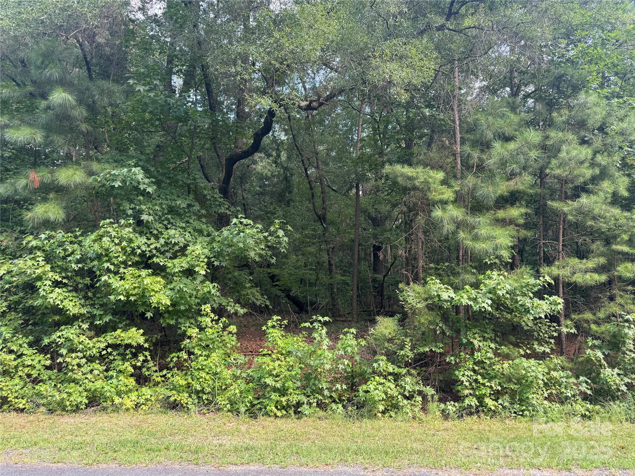 00 Raymond Helms Road