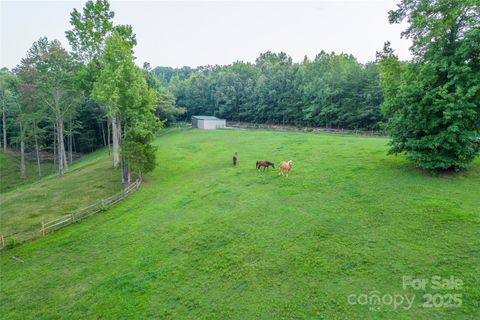 A home in Tryon