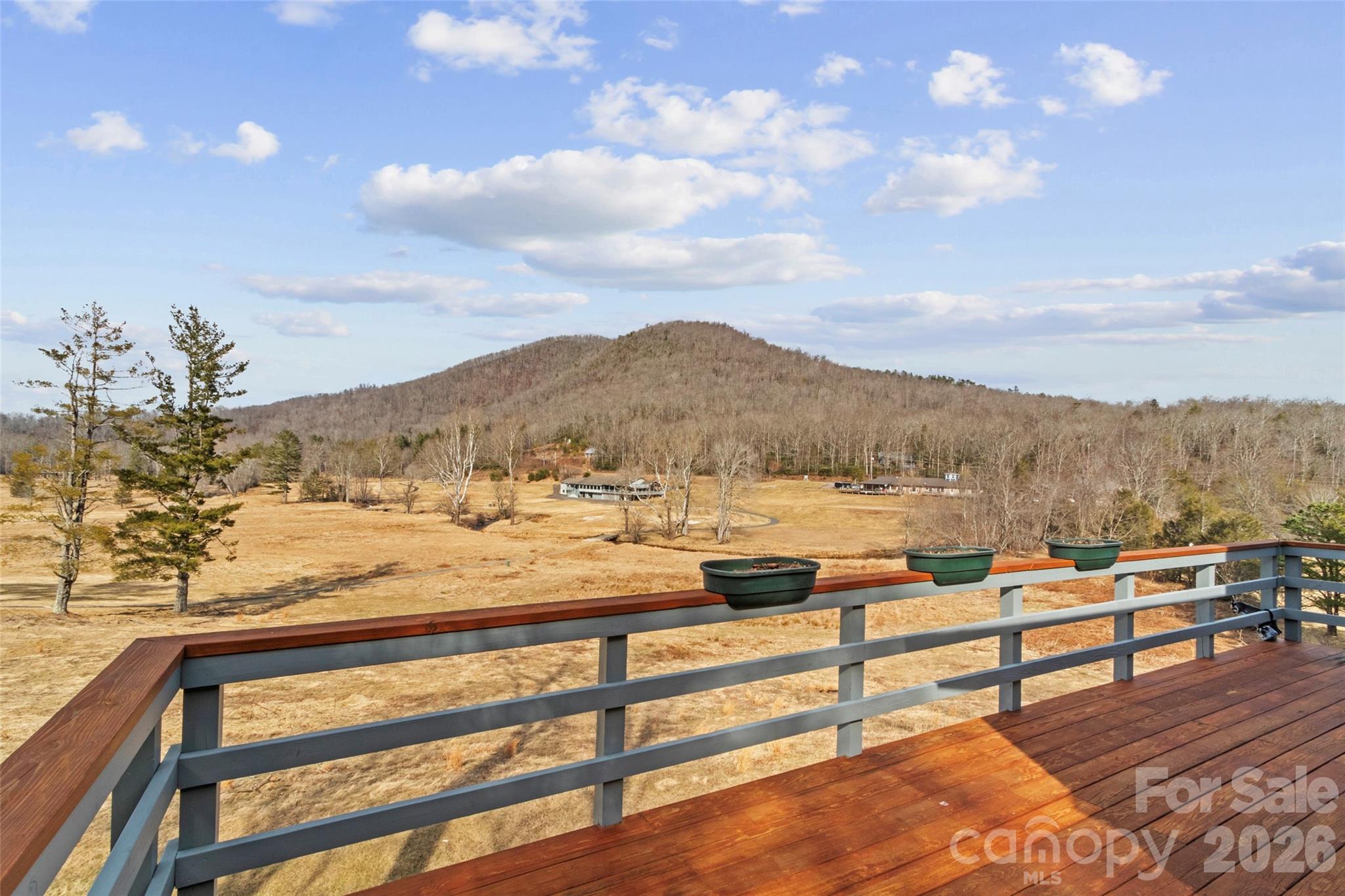 Mount Mitchell Lands - Residential