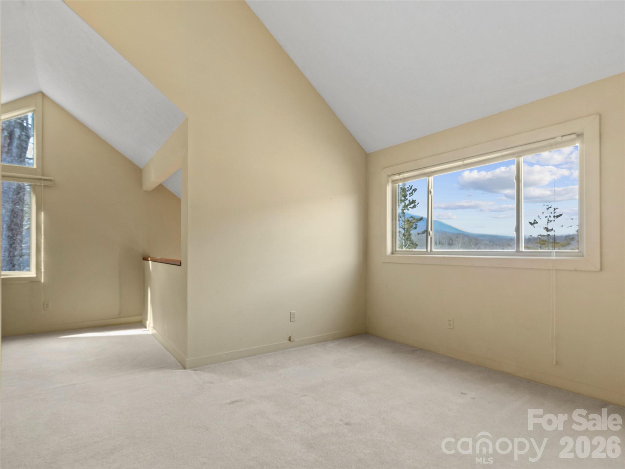 Mount Mitchell Lands - Residential