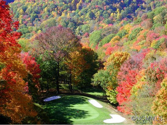 Wolf Laurel - Residential