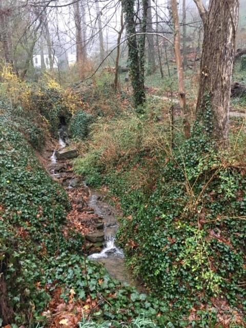 Grove Park - Residential