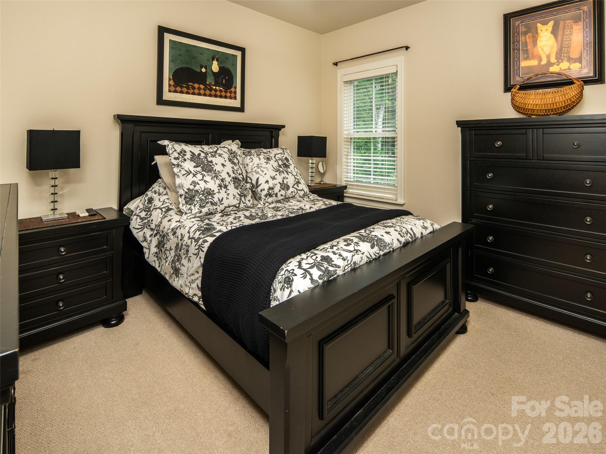 Biltmore Lake - Residential