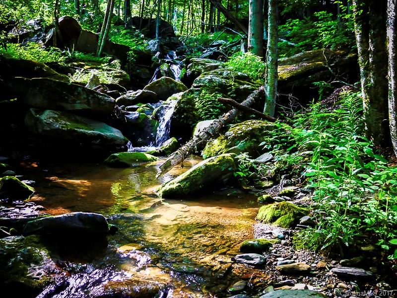 Woodwinds - Residential