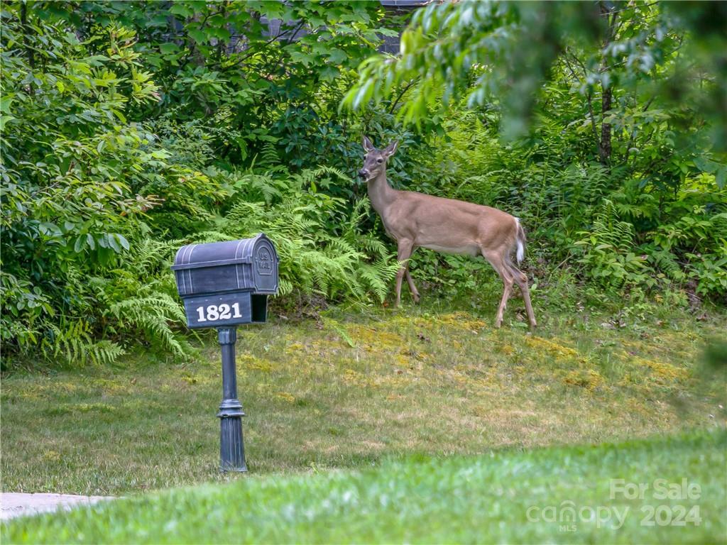 The Cliffs at Walnut Cove - Residential