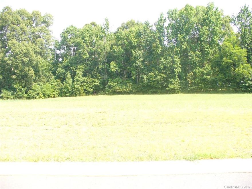 Whitney is a private 21 home enclave that features home sites from .4 acre to .8 acre. Centrally located between Charlotte, Concord, Monroe and Albemarle. Located just 12 minutes from I-485. Protective Building Guidelines and an Architectural Committee to approve home design, site plans, etc. Majestic Oaks frame Stone Column and Fenced Entrance. Broker/Owner.