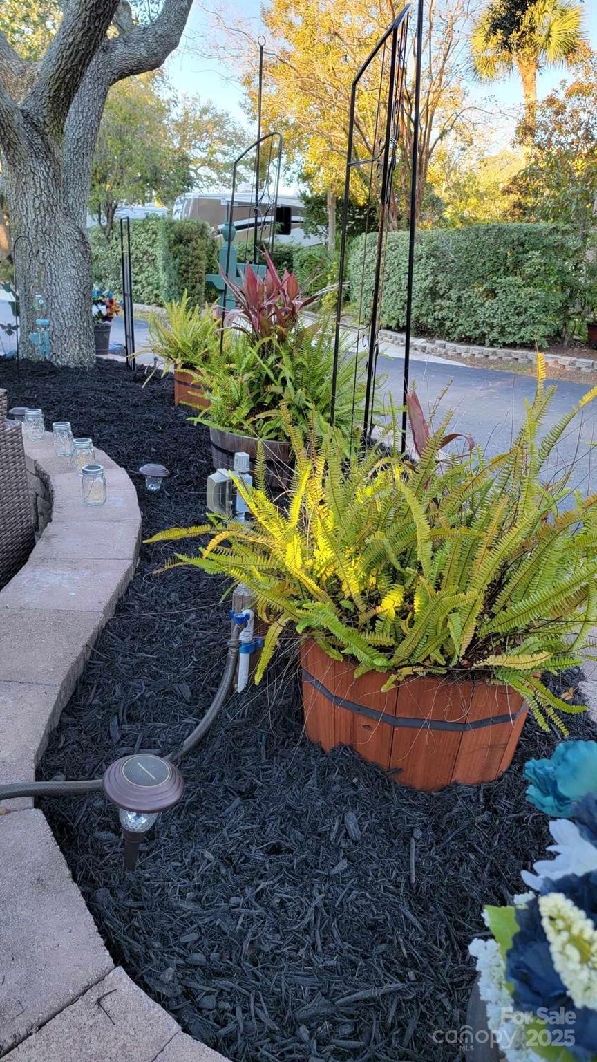 Outdoor Resorts RV Resort and Yacht Club - Land