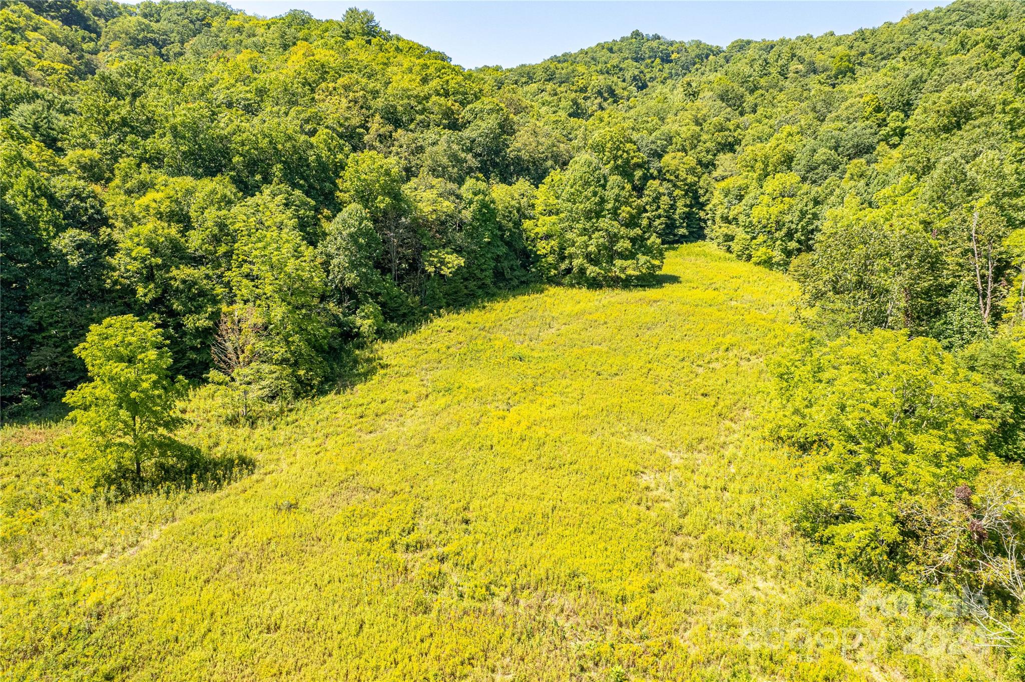 7180 Meadow Fork Road