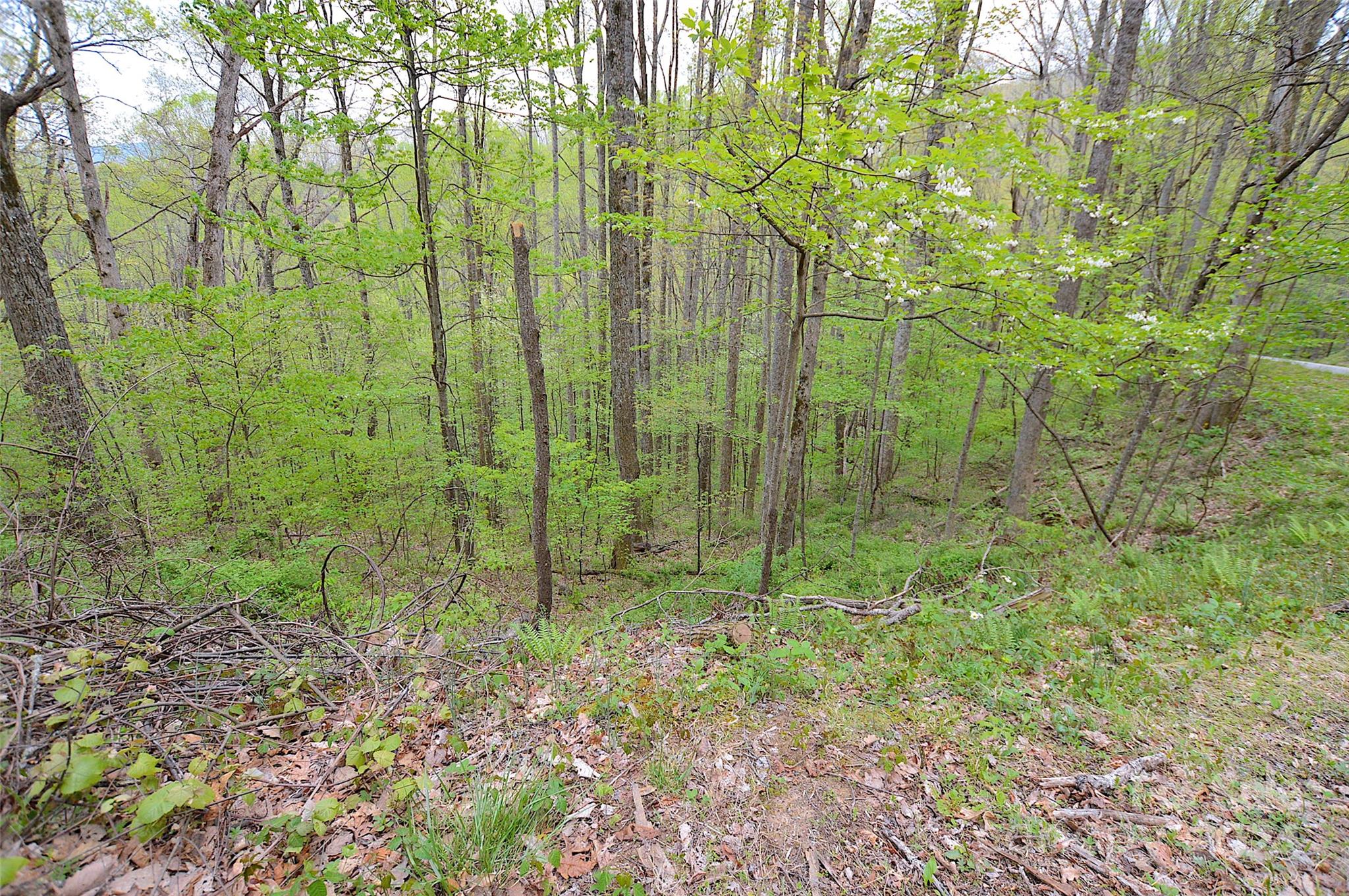 Laurel Ridge Country Club - Land