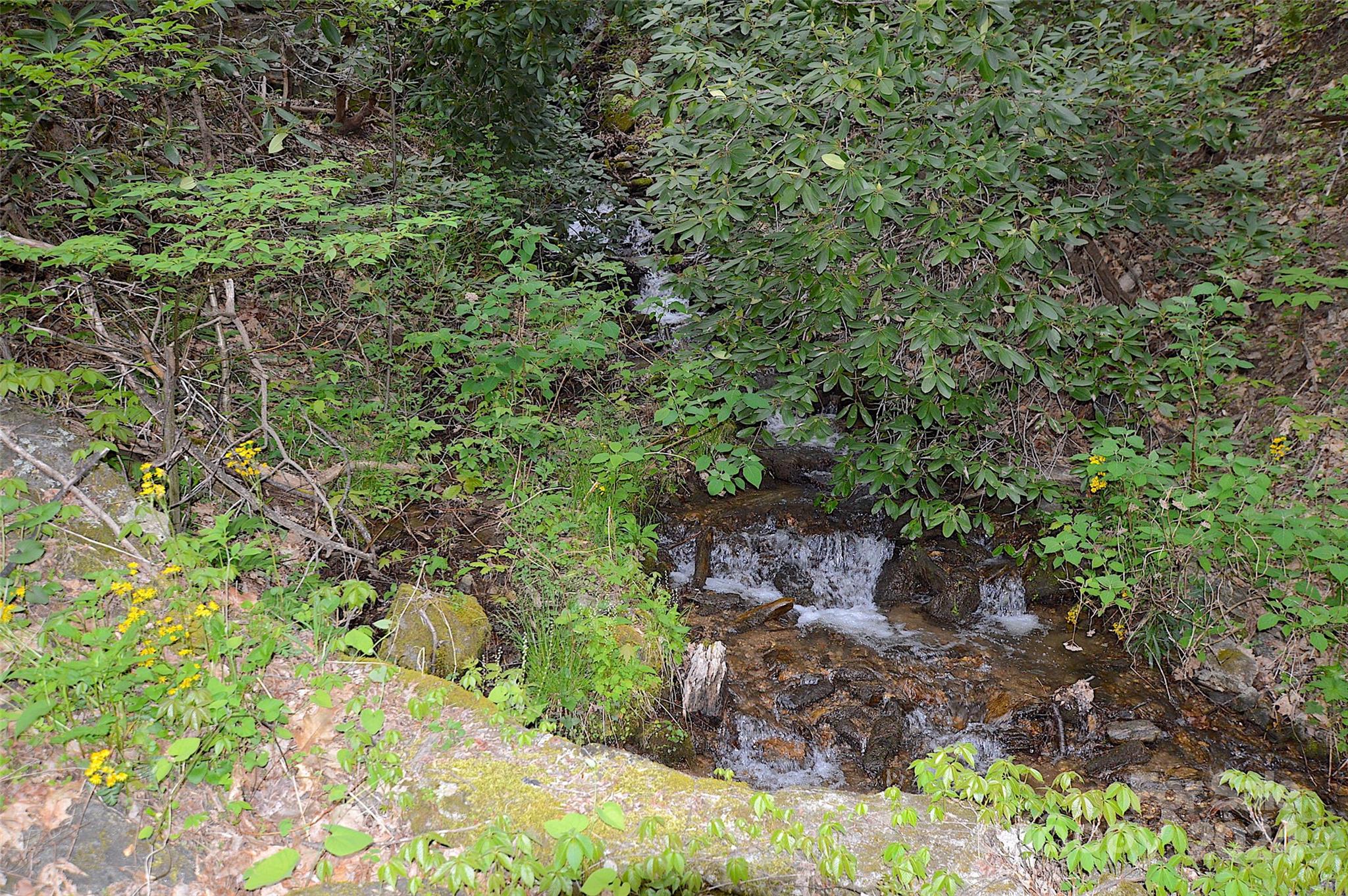 Laurel Ridge Country Club - Land