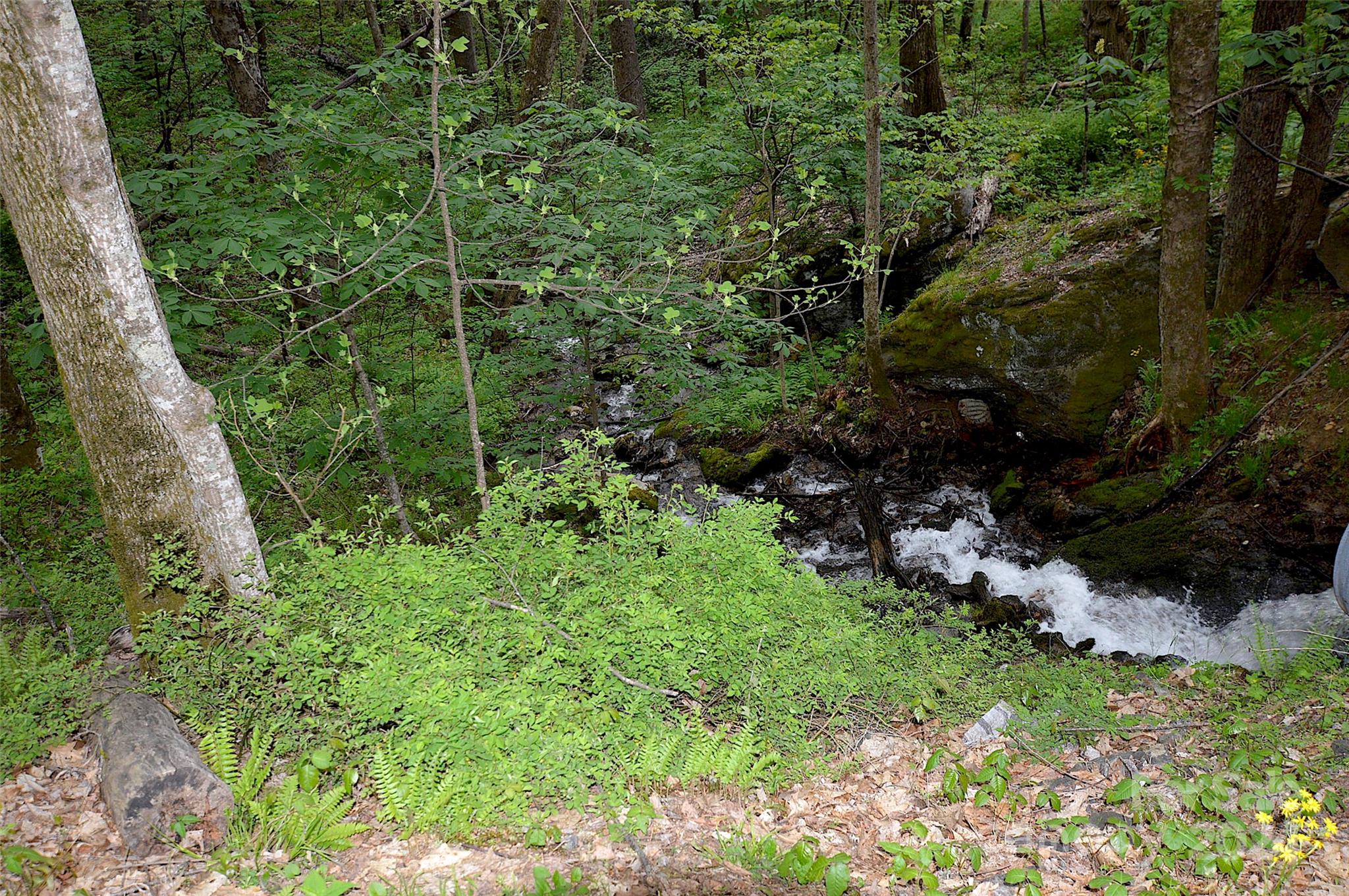 Laurel Ridge Country Club - Land