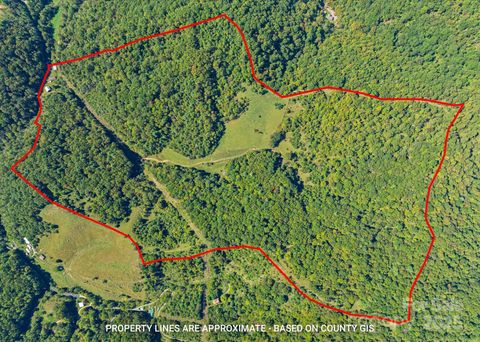 1623 Ammons Branch Road Marshall NC 28753