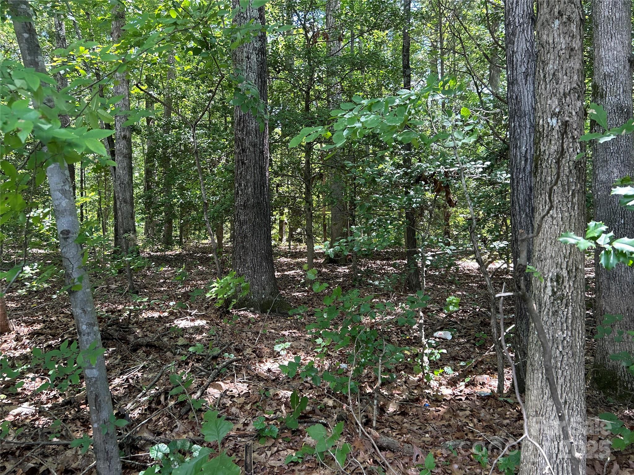 00 Hardin Road