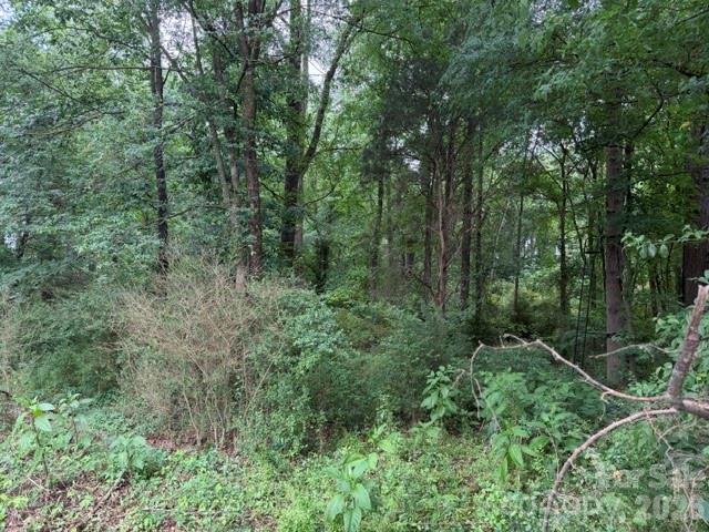 8838 Morgan Mill Road