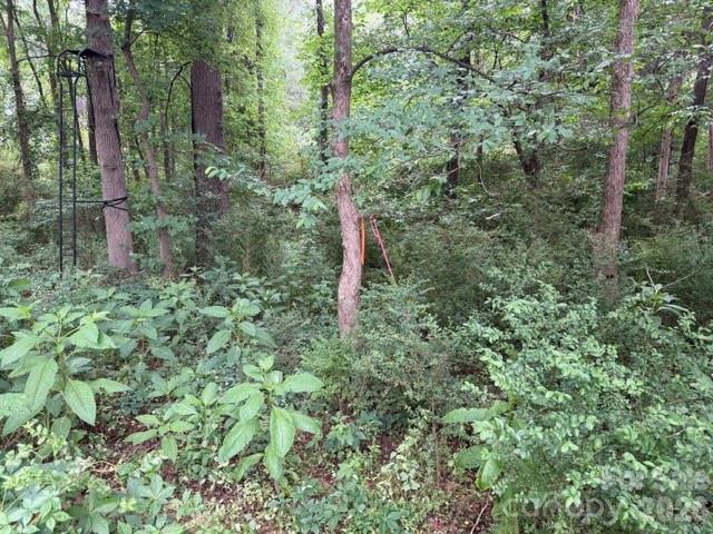 8838 Morgan Mill Road