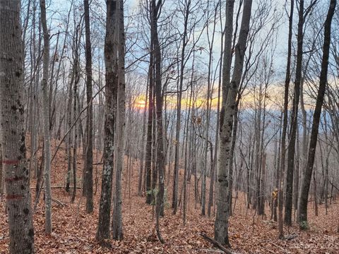 22 Mountain Lookout Drive Bostic NC 28018