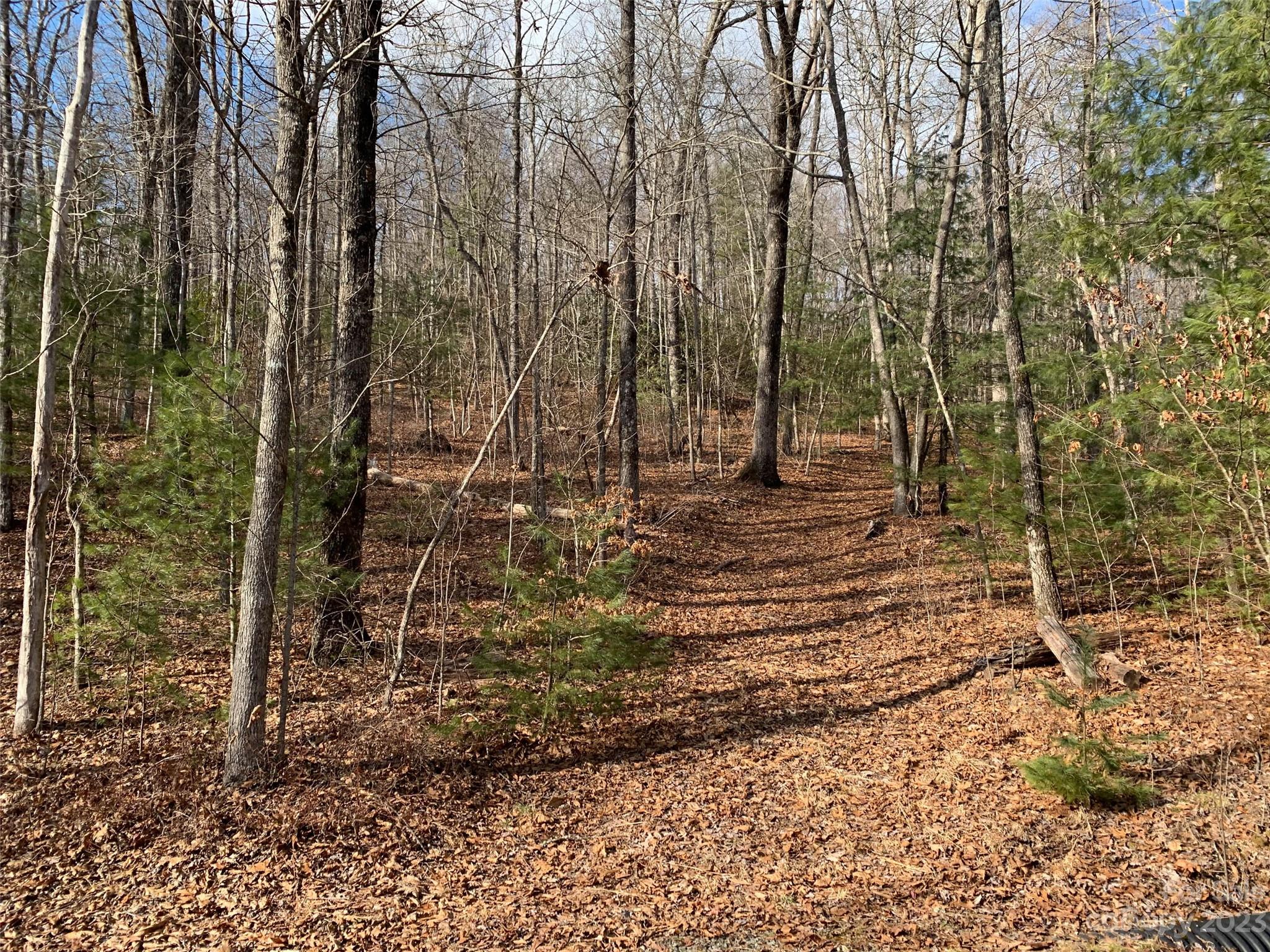 91 Laurel Thicket Lane