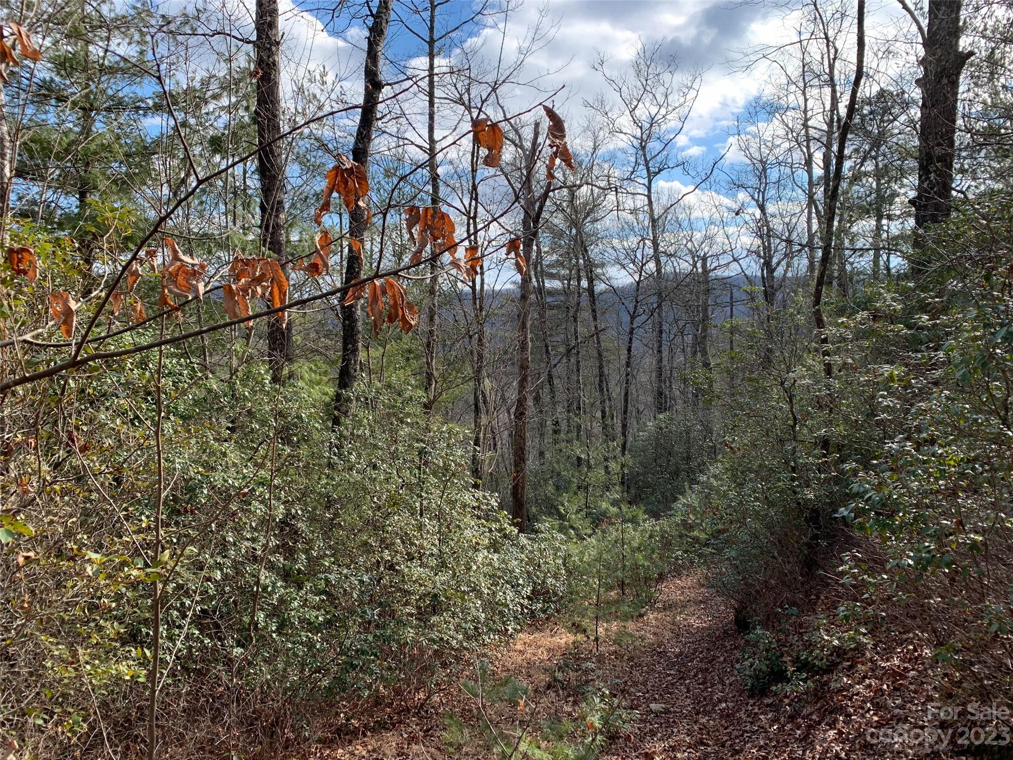 91 Laurel Thicket Lane