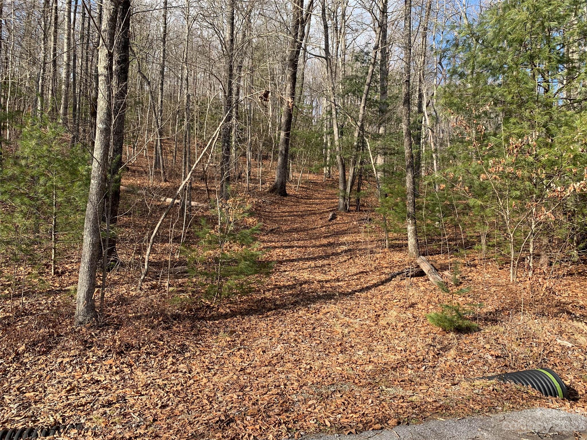 91 Laurel Thicket Lane