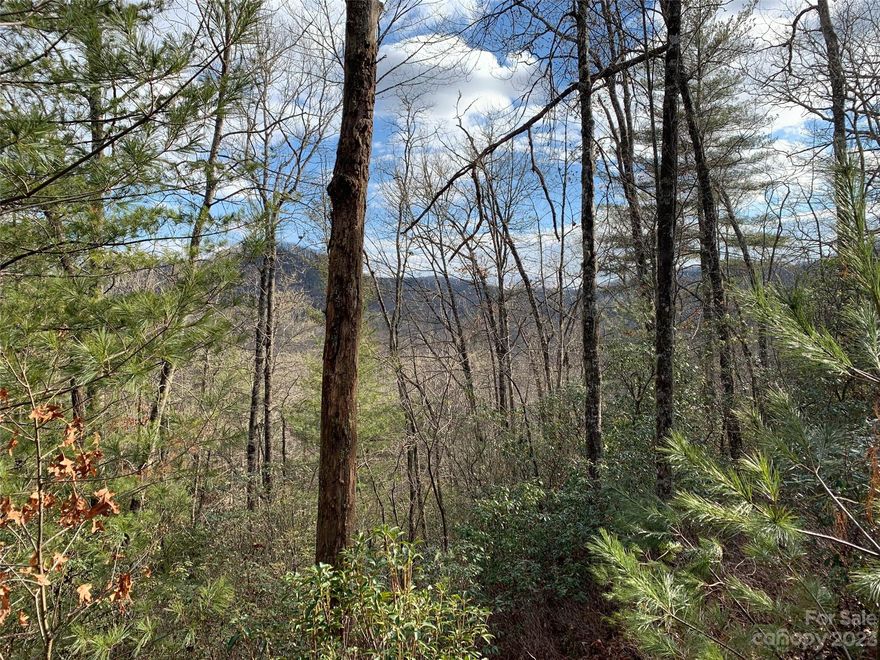 This Big Hill homesite directly adjoins Headwaters State Forest and has mountain views.  Its convenient location puts you just a short distance away from the charming downtown area of Brevard, renowned for its vibrant arts scene, local shops, restaurants, and cultural events.Whether you are planning to build your forever home or create a vacation retreat, this homesite in the Big Hill neighborhood presents an incredible opportunity to live amidst the beauty of the North Carolina mountains while enjoying the comforts of a welcoming community. Don't miss the chance to make this slice of paradise your own.