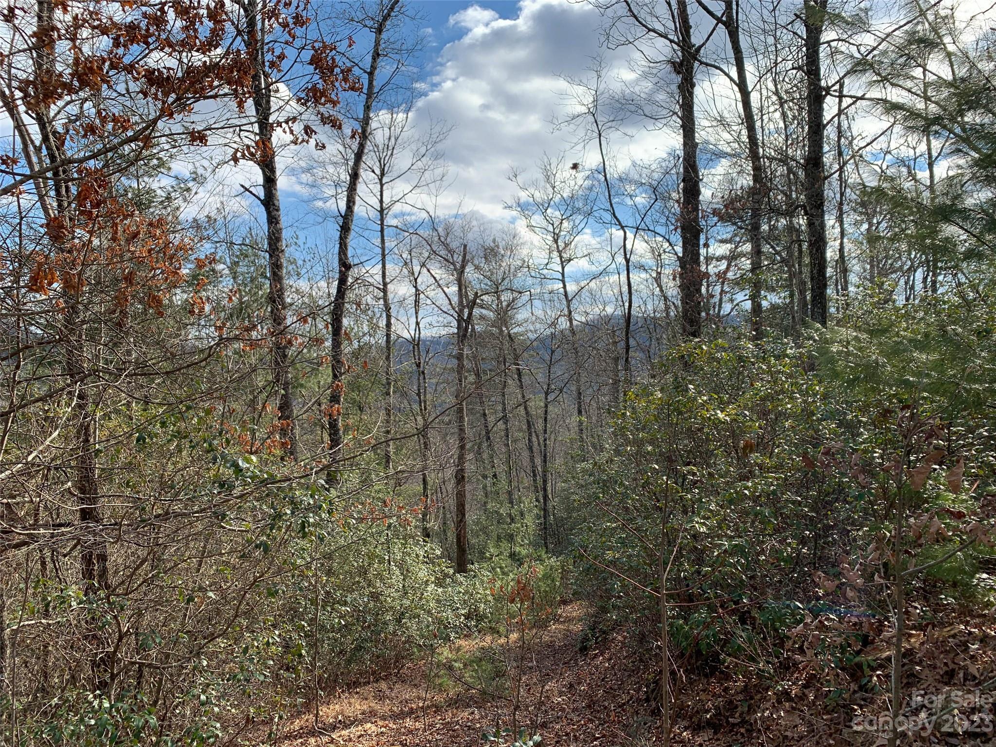 91 Laurel Thicket Lane