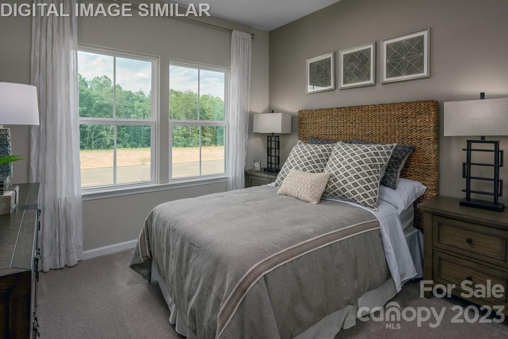 Davis Creek - Residential