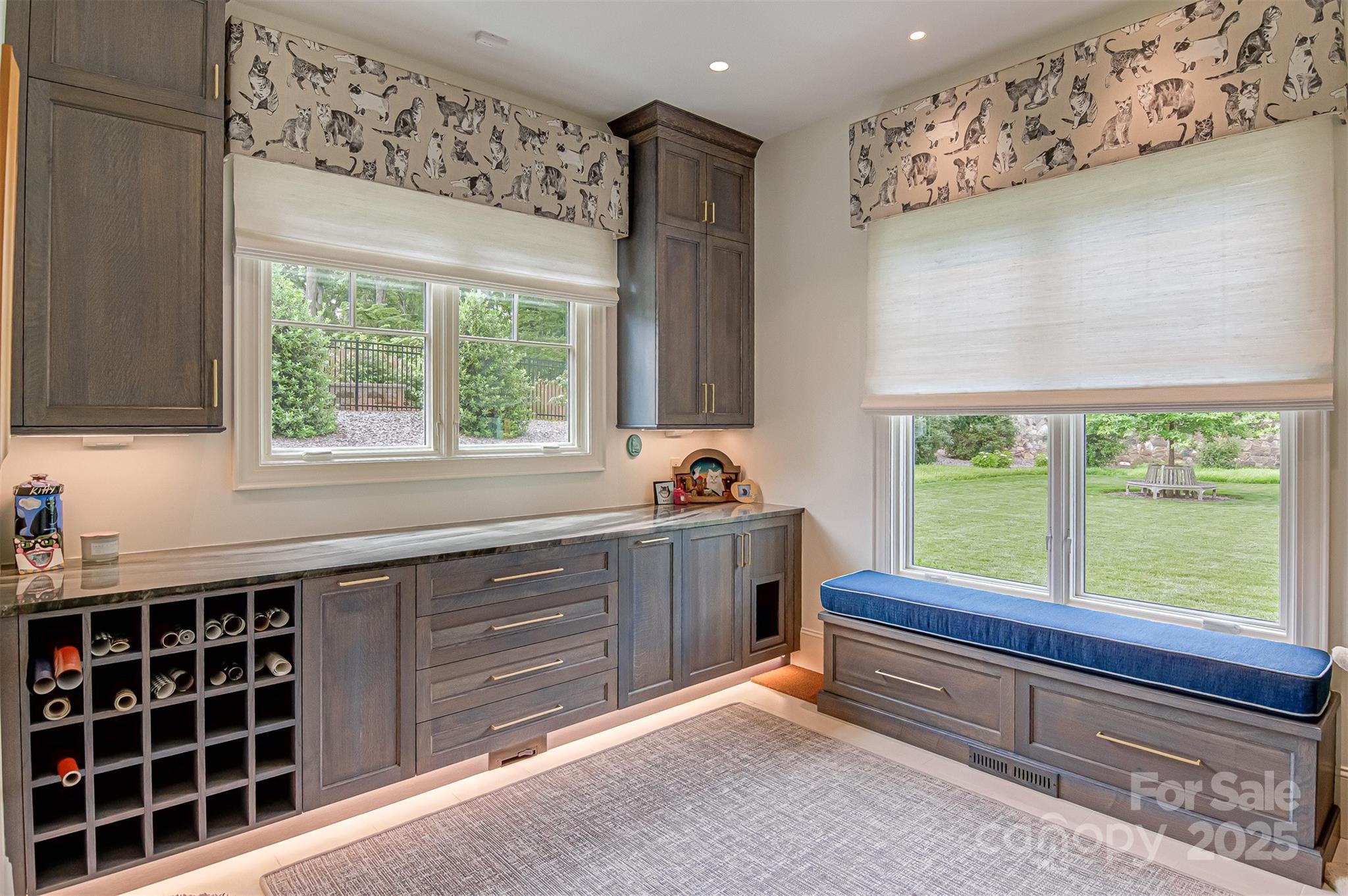 Buena Vista - Residential