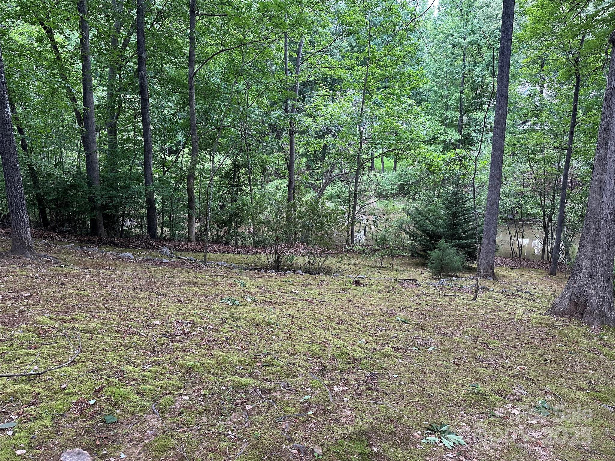 0000 Woodhill Cove Lane 5