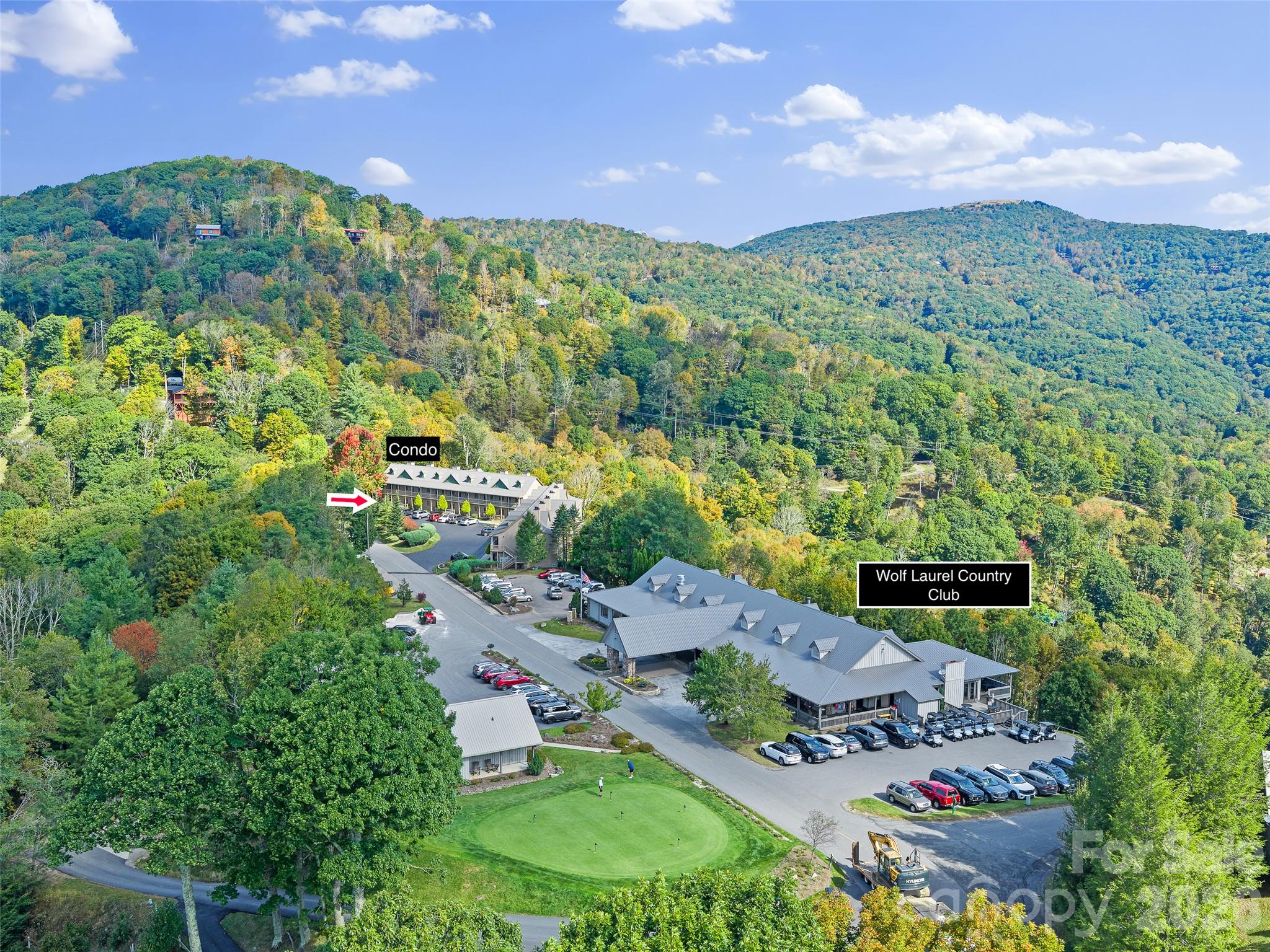 2521 Wolf Laurel Road 101