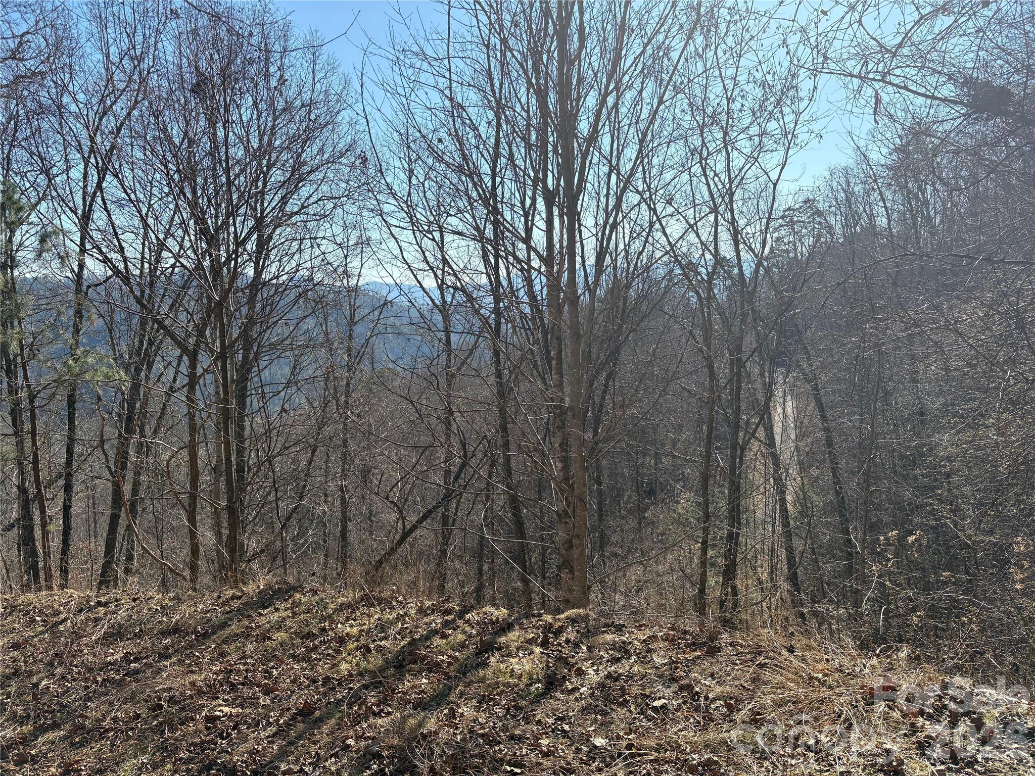 Mountain Overlook - Land