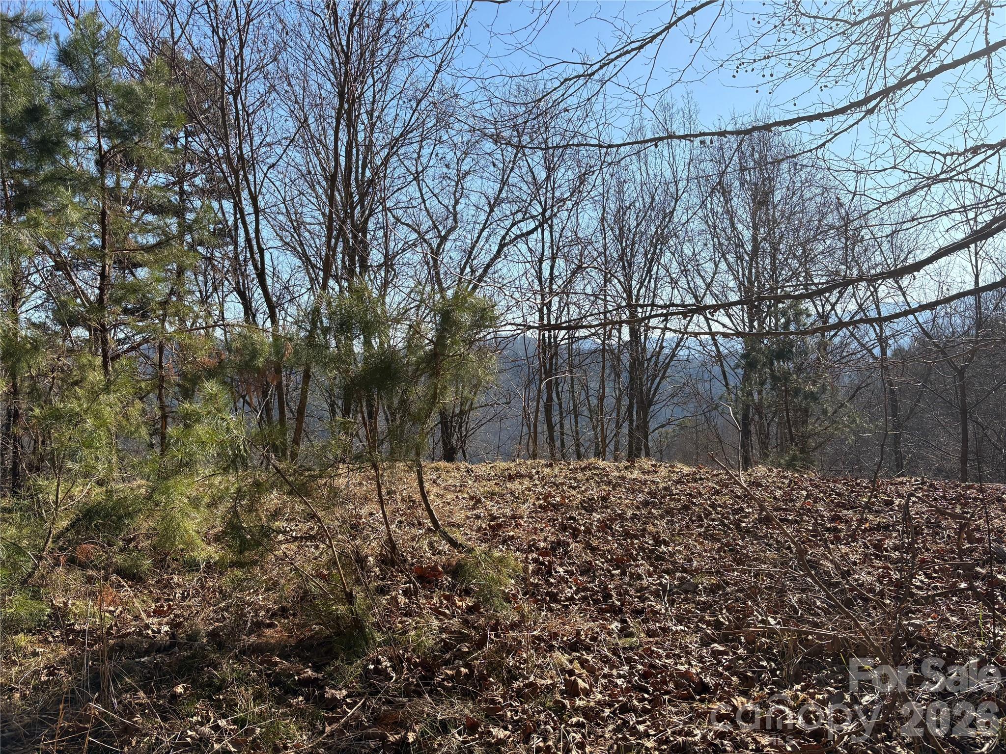 Mountain Overlook - Land