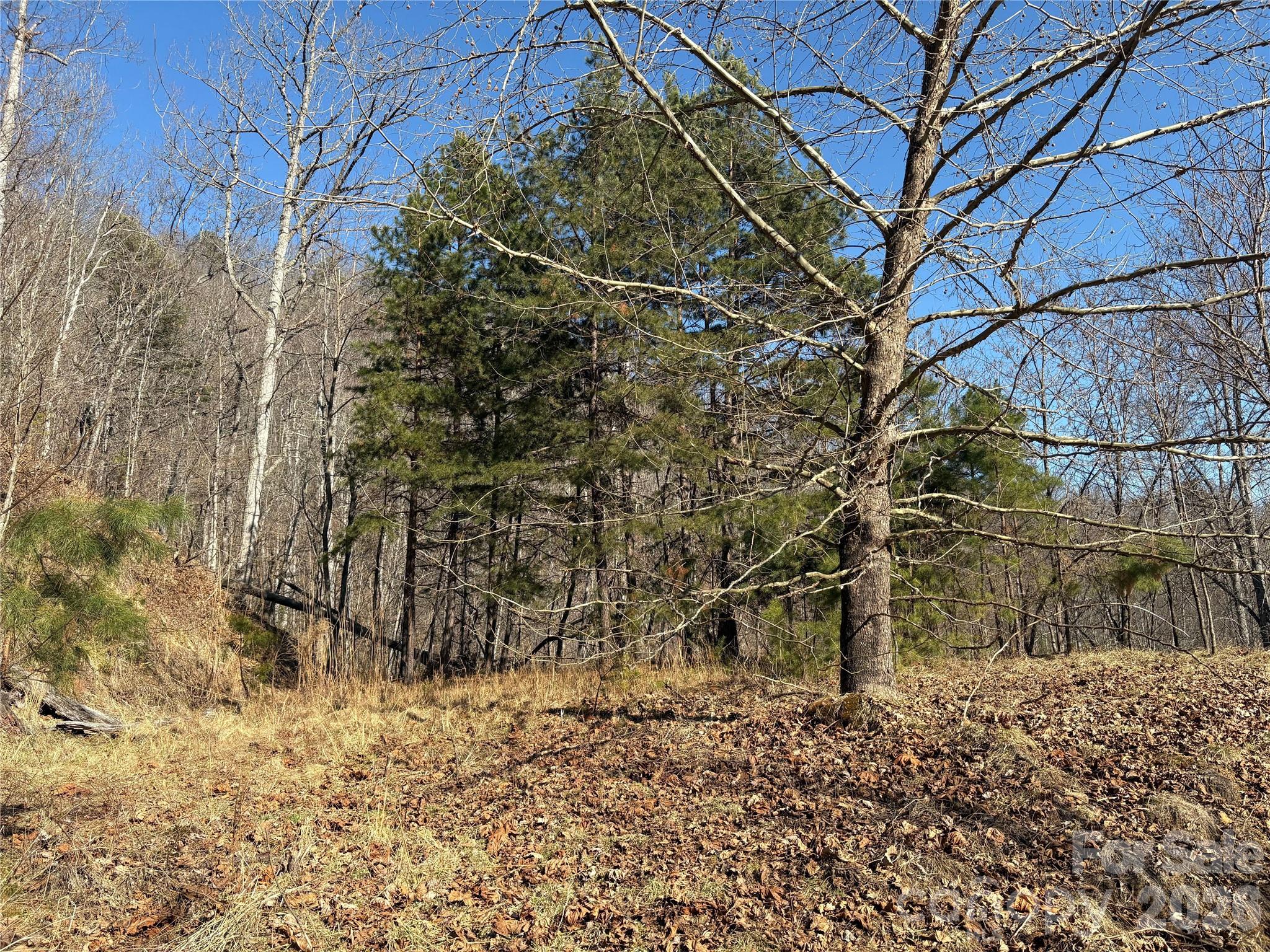 Mountain Overlook - Land
