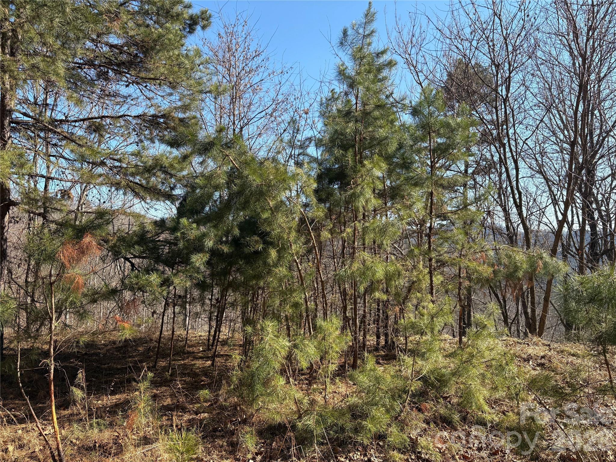 Mountain Overlook - Land