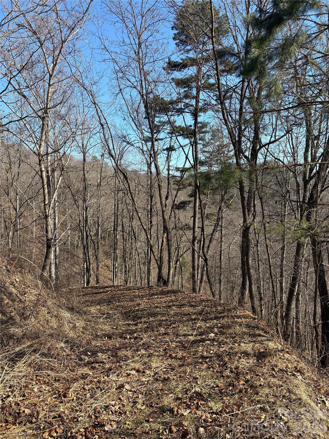 Mountain Overlook - Land