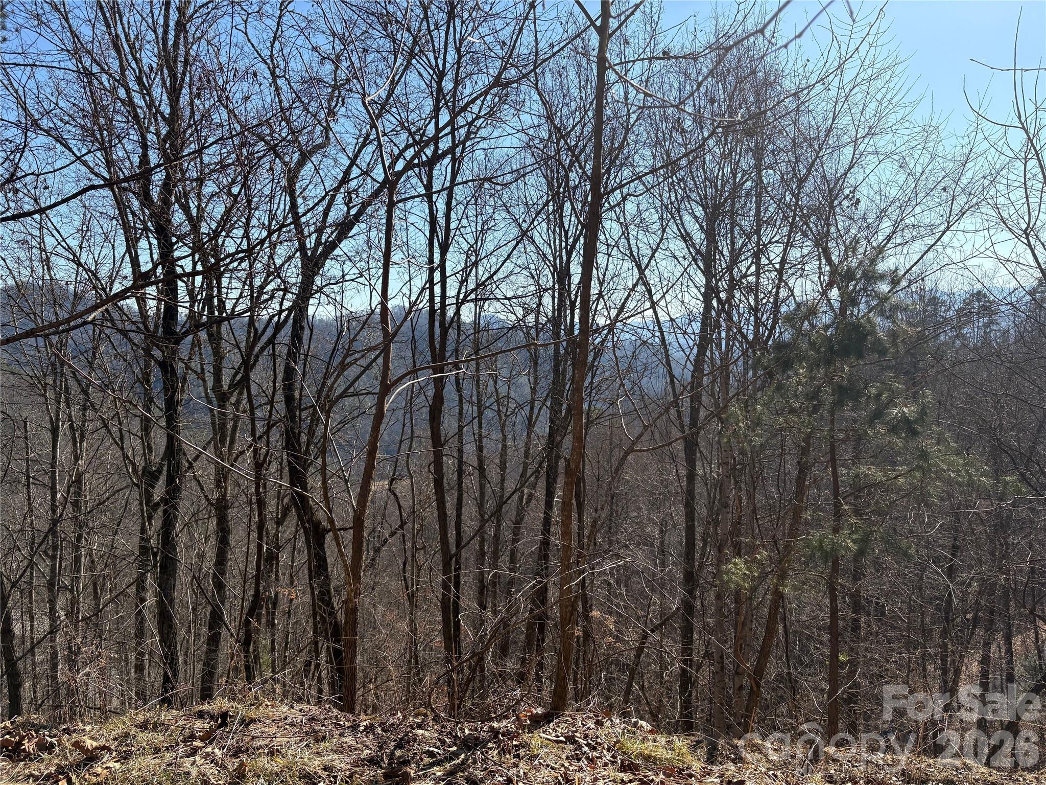 Mountain Overlook - Land