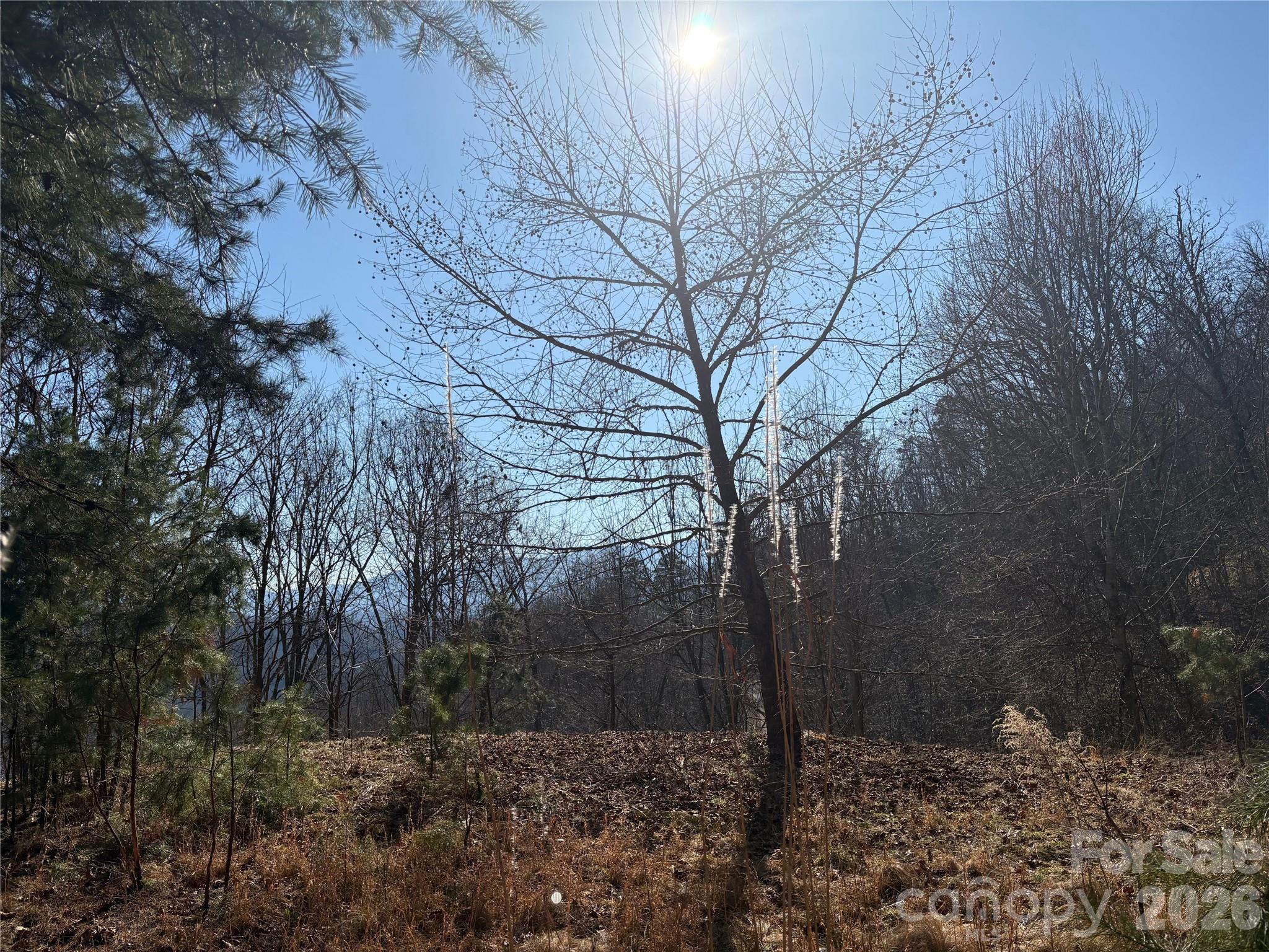 Mountain Overlook - Land