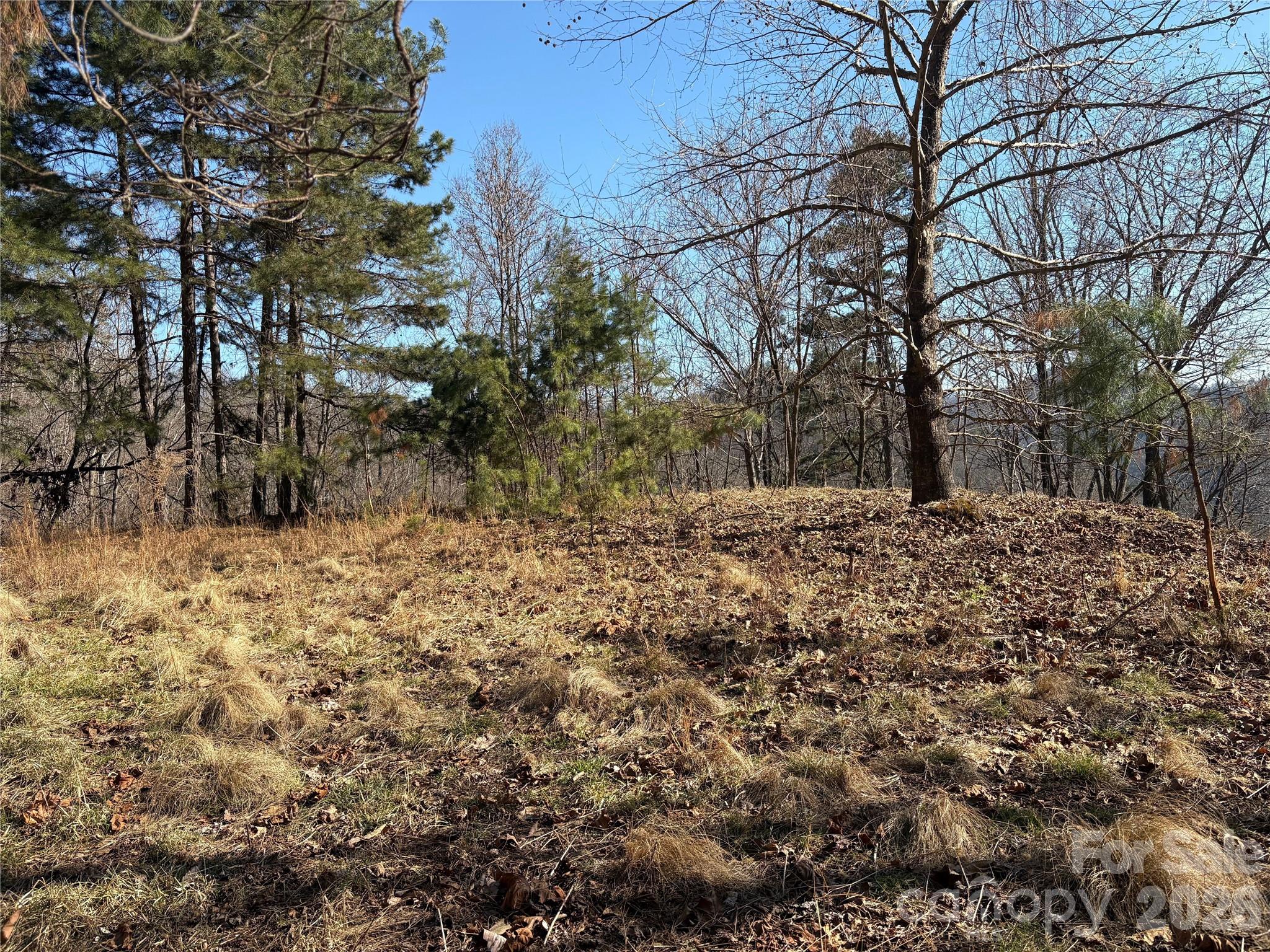 Mountain Overlook - Land