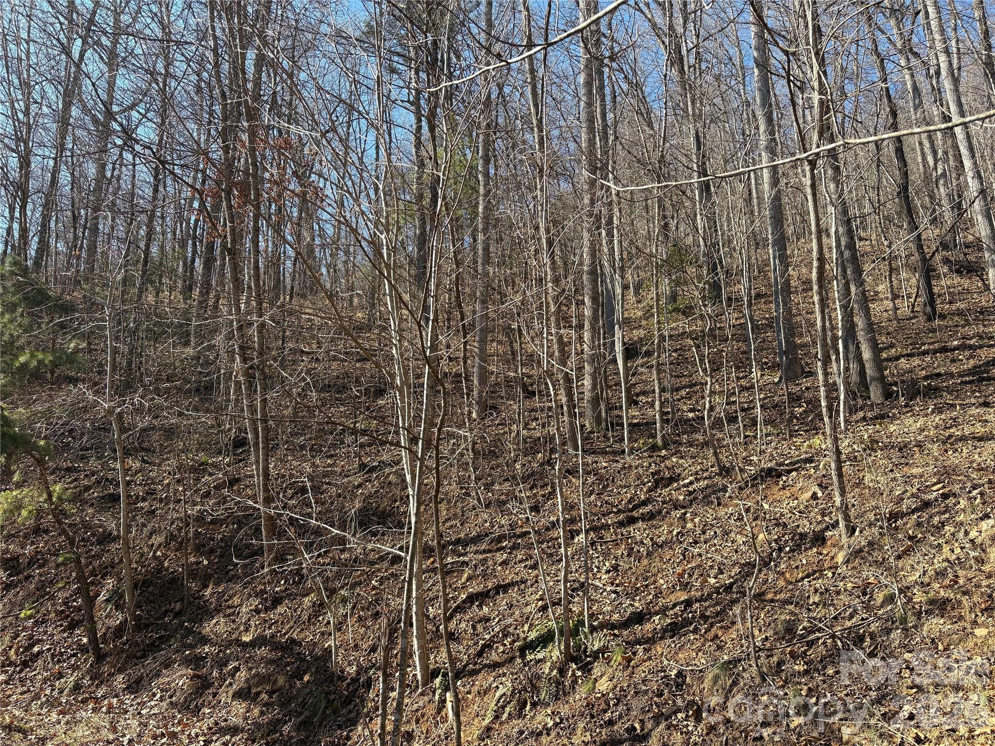 Mountain Overlook - Land