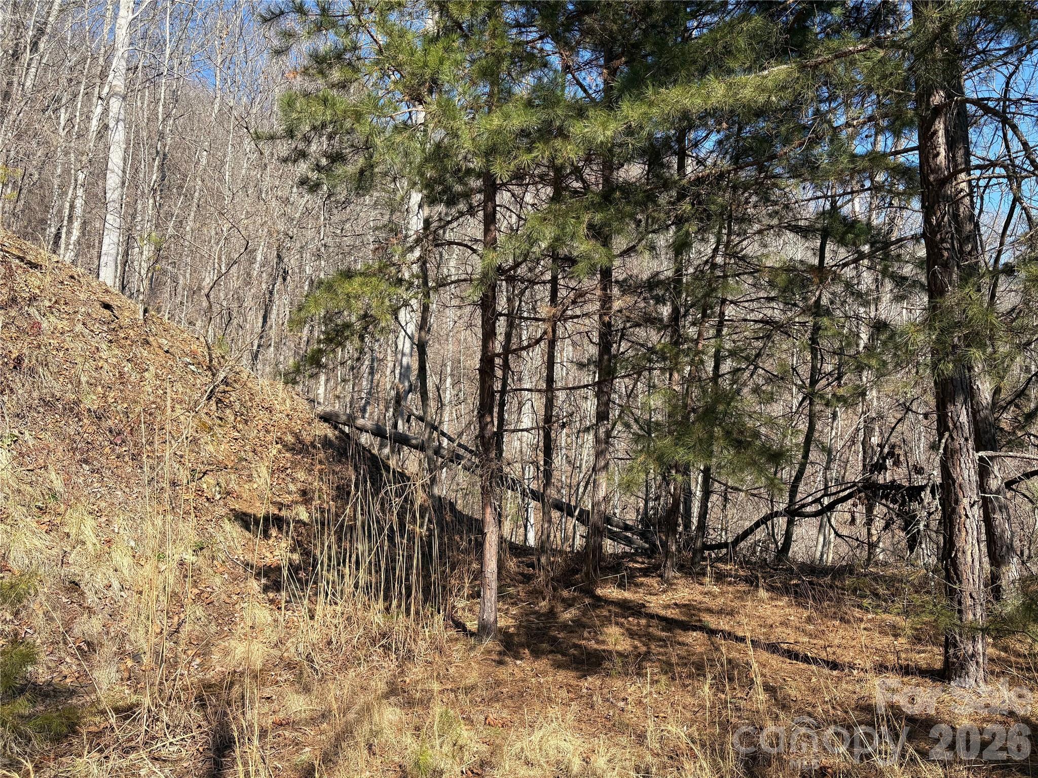 Mountain Overlook - Land