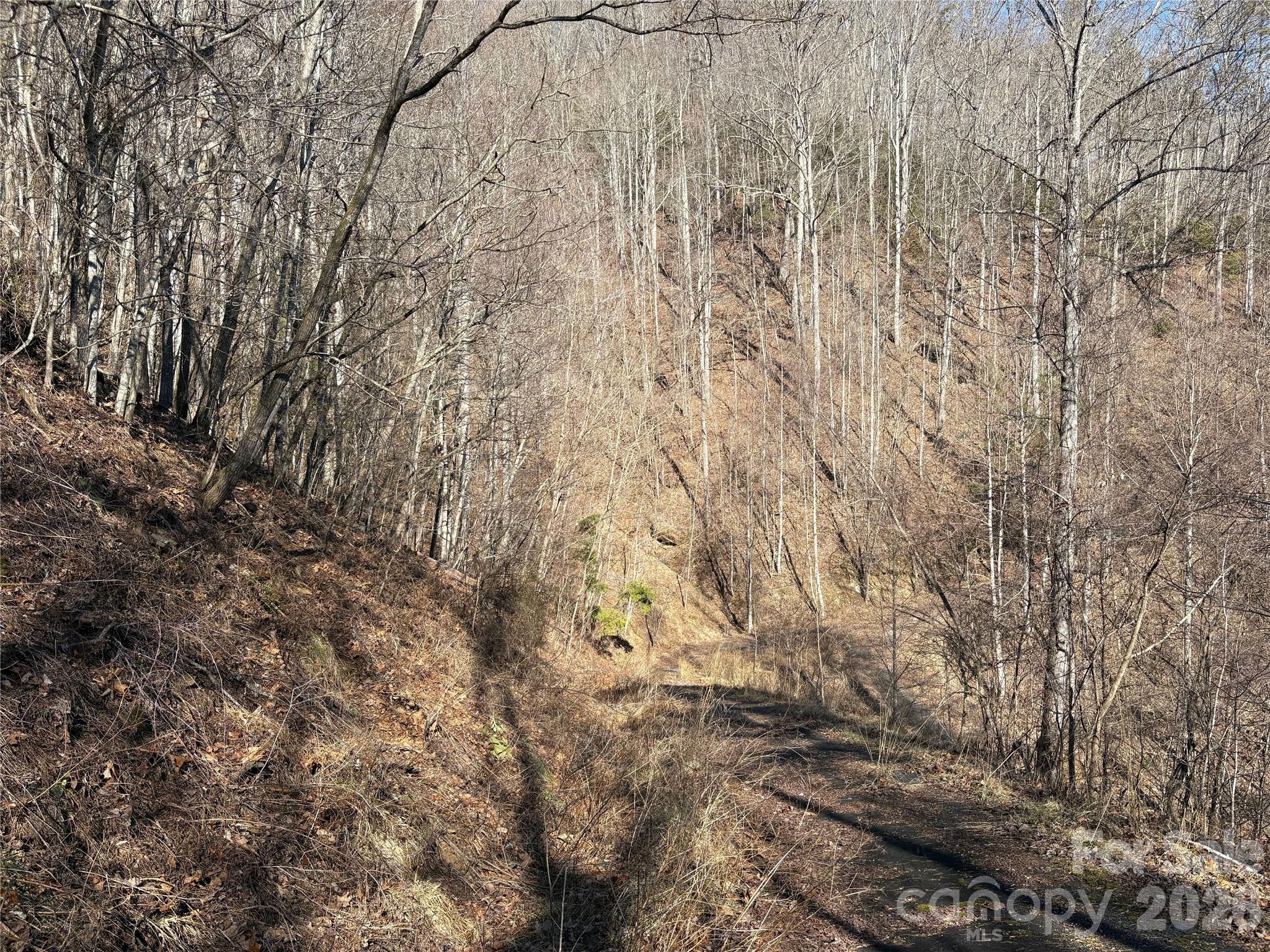 Mountain Overlook - Land