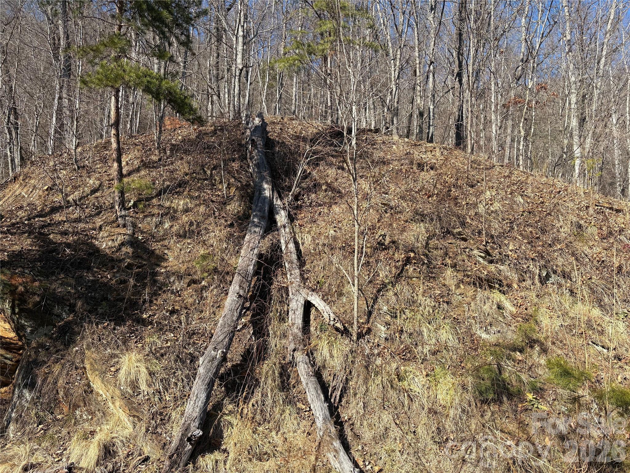 Mountain Overlook - Land
